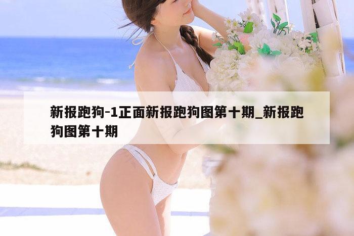 新报跑狗-1正面新报跑狗图第十期_新报跑狗图第十期